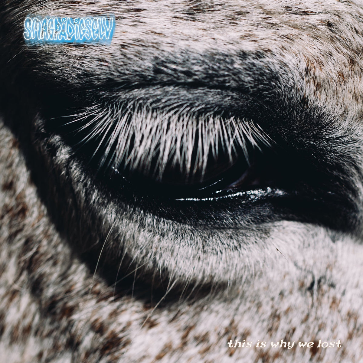Smag På Dig Selv - This Is Why We Lost (CD)