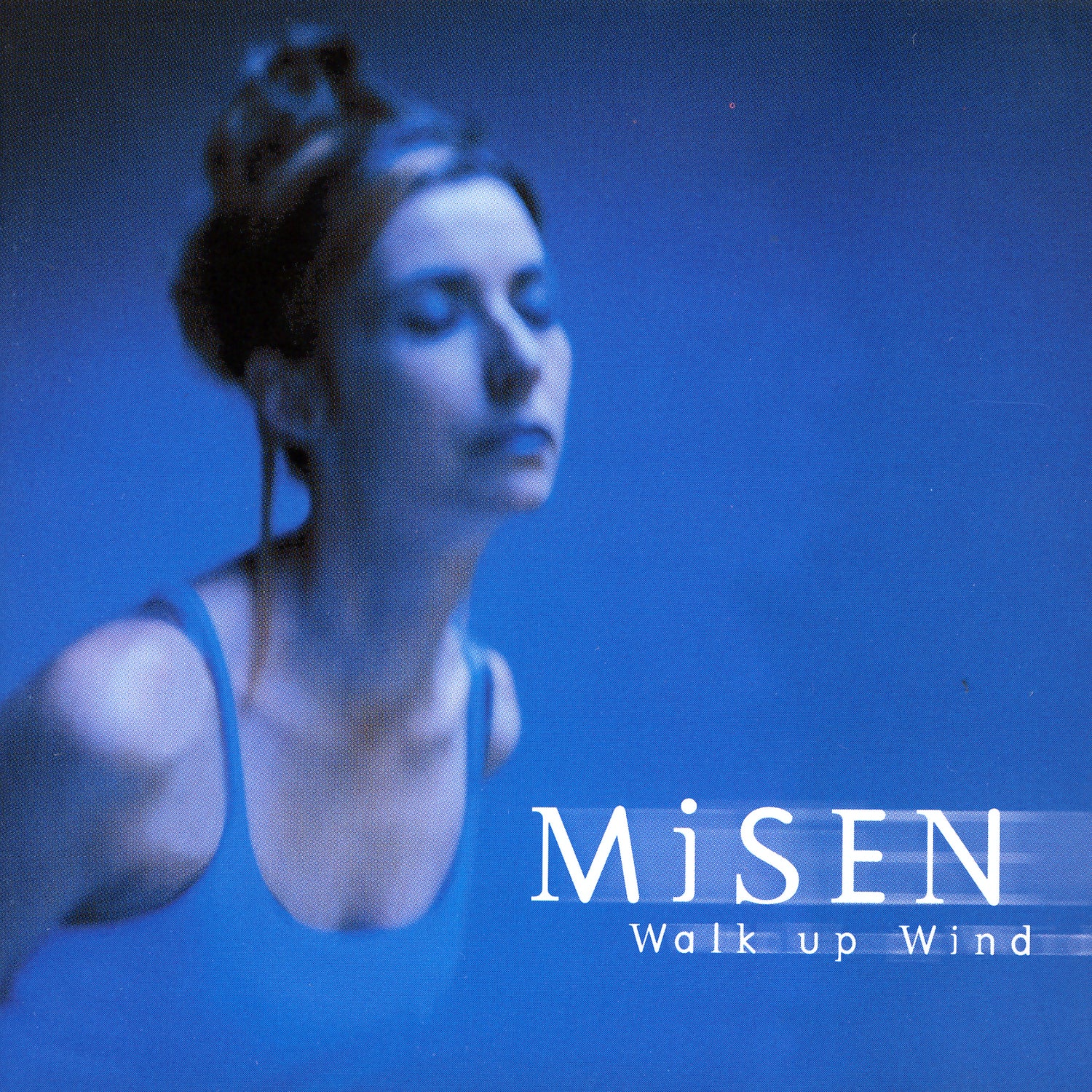 Misen - Walk Up Wind (CD)