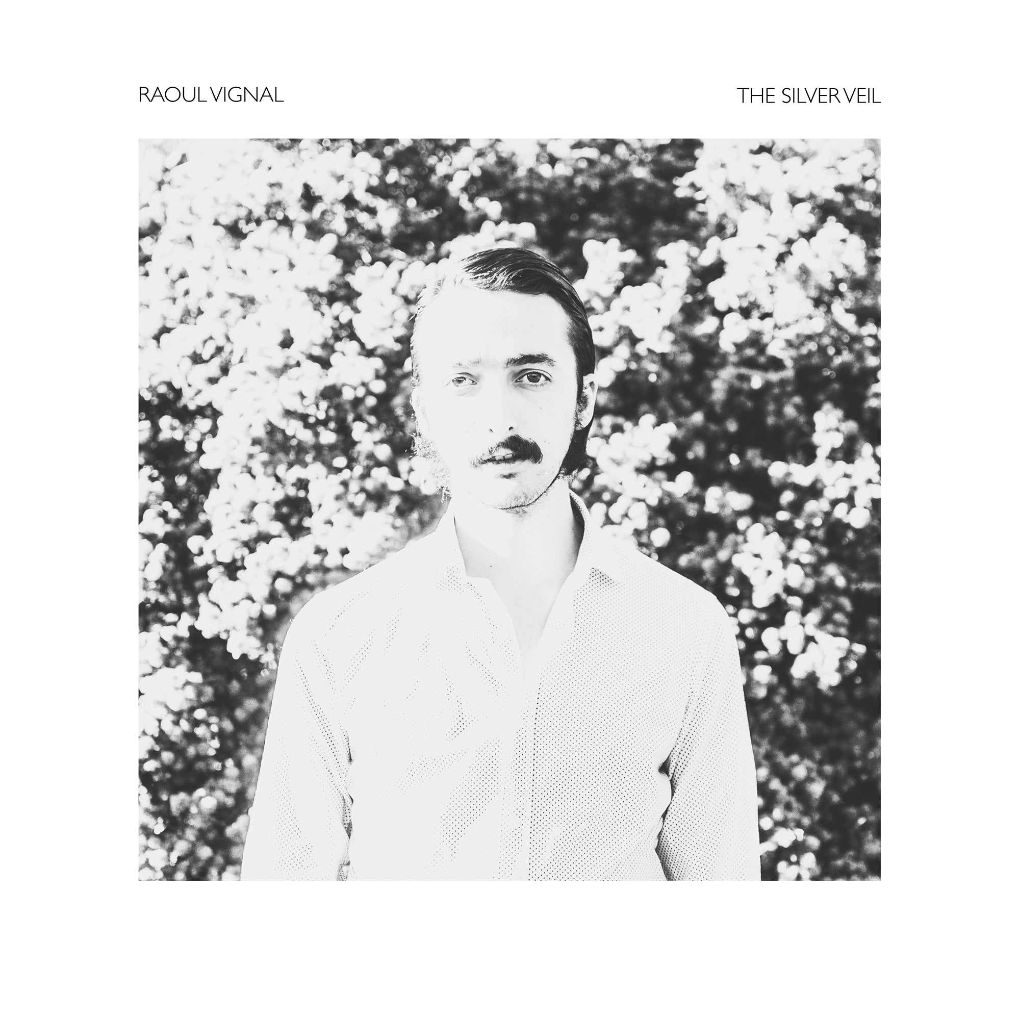 Raoul Vignal - The Silver Veil (CD)