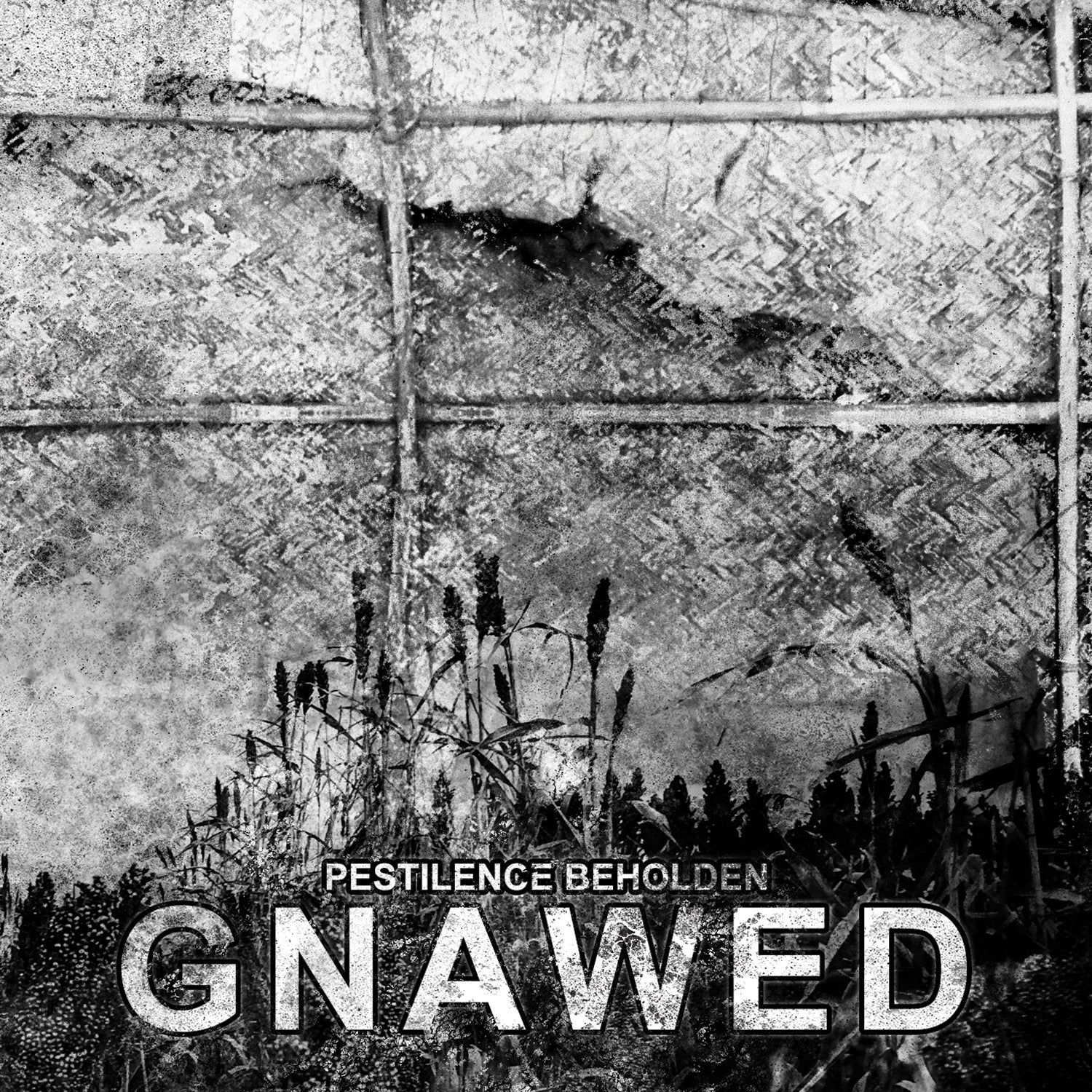 Gnawed - Pestilence Beholden (CD)