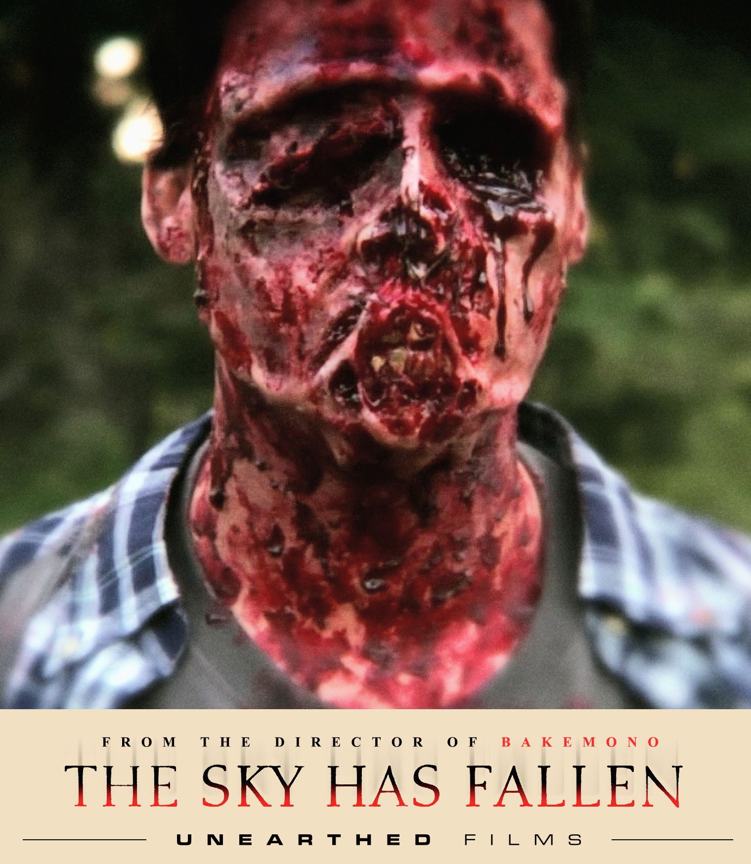 The Sky Has Fallen (Blu-ray)