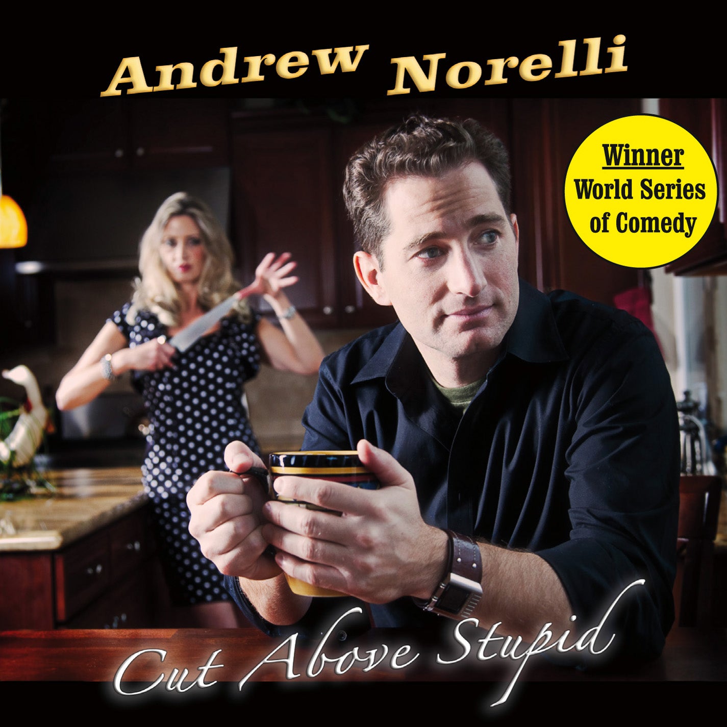 Andrew Norelli - Cut Above Stupid (CD)