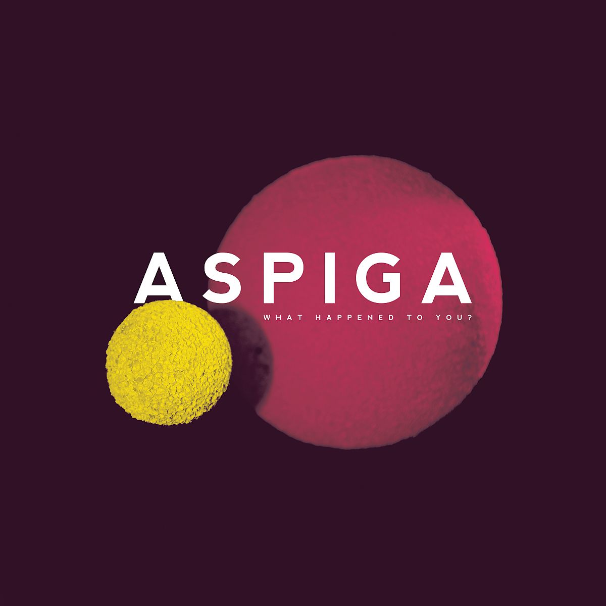 Aspiga - What Happened To You (CD)