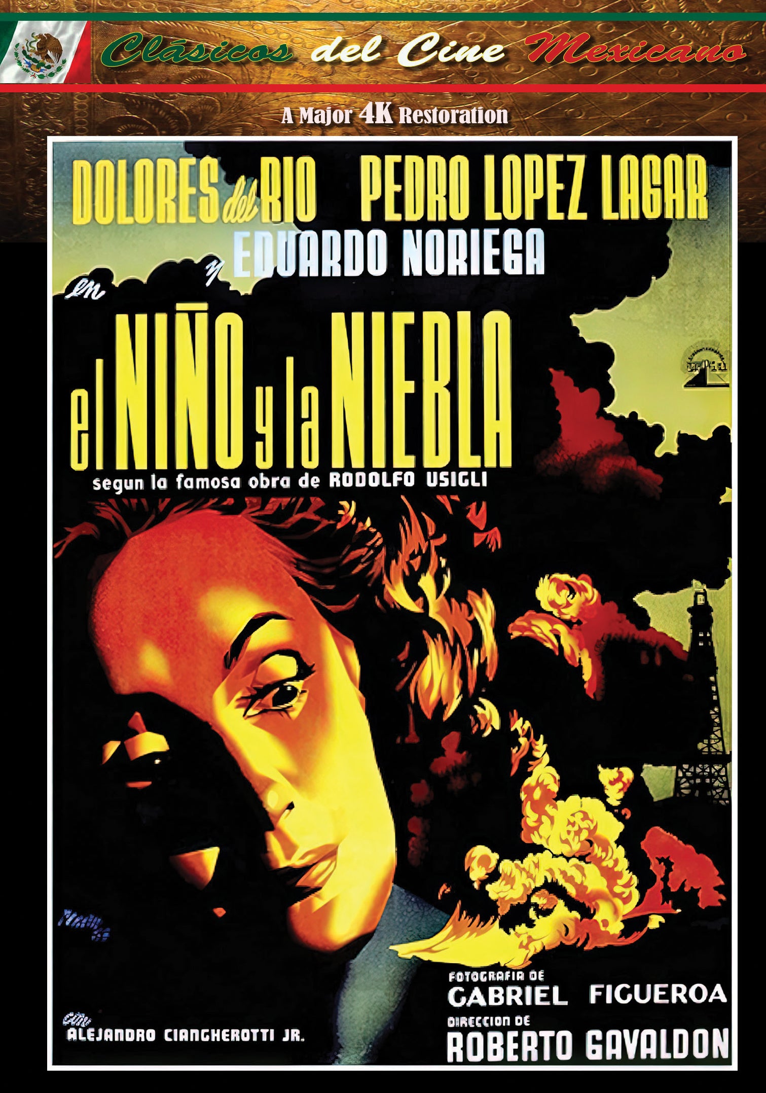 El Nino Y La Niebla (Spanish Language With English Subtitles) (DVD)