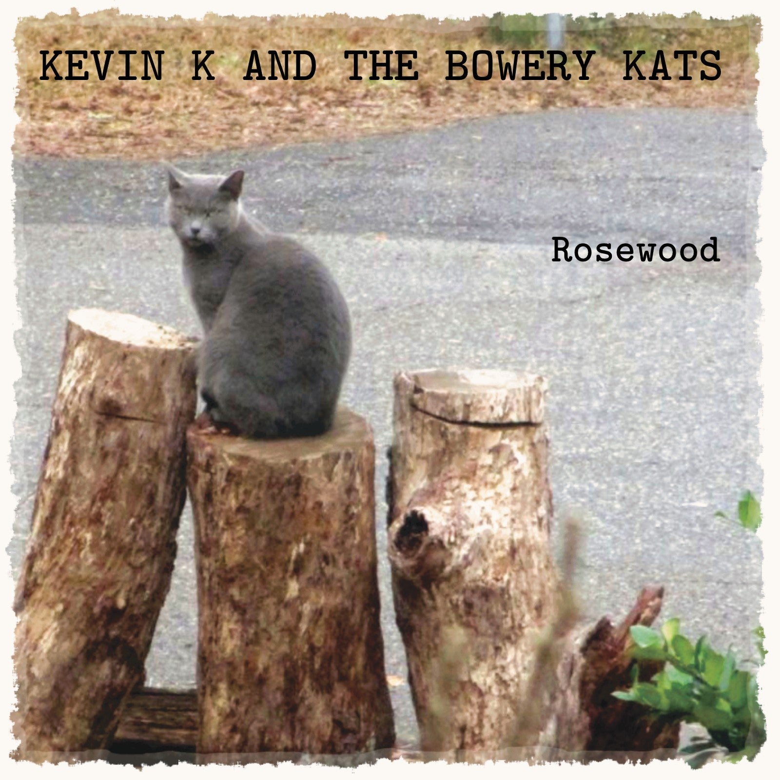 Kevin K and the Bowery Kats - Rosewood (CD)