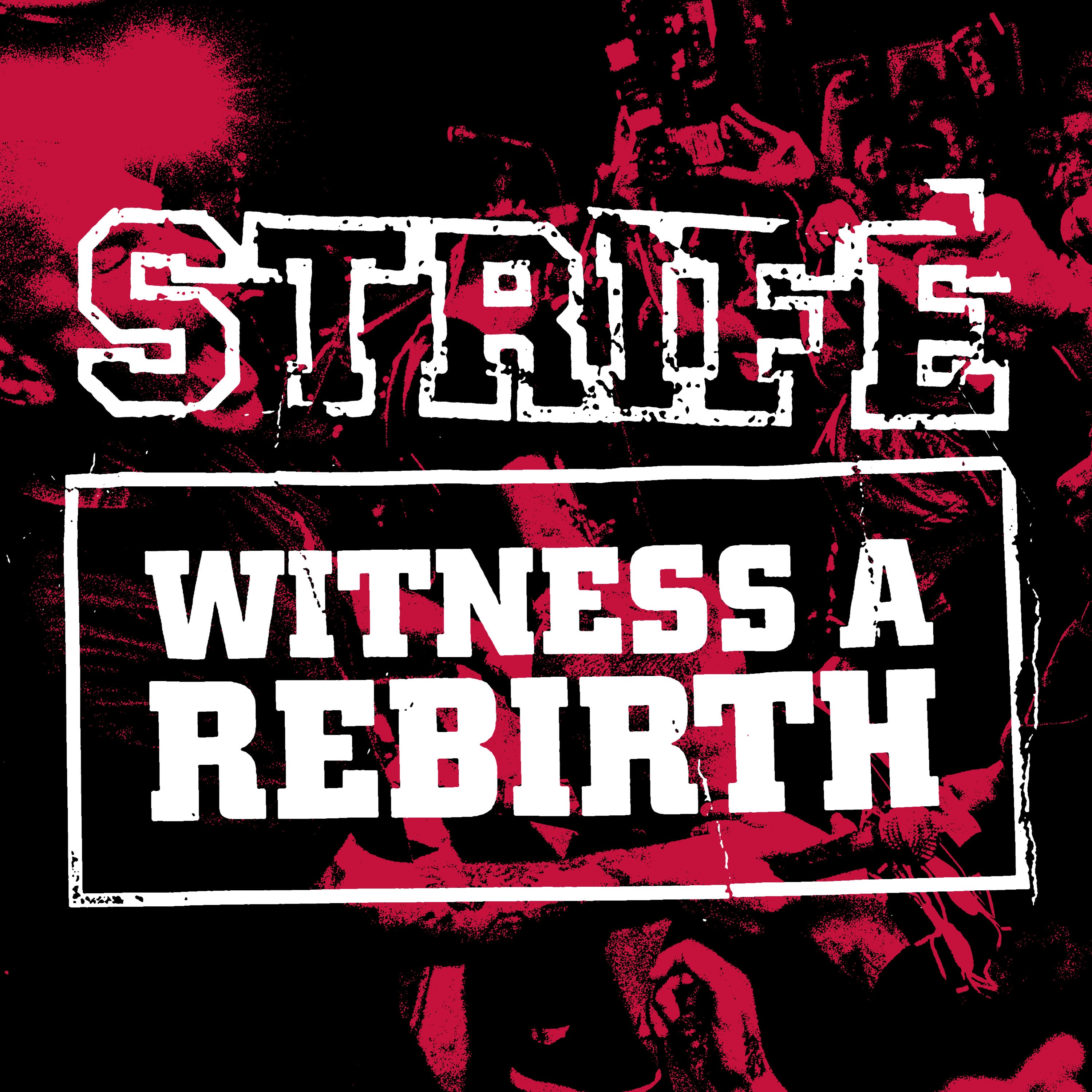 Strife - Witness A Rebirth (LP)