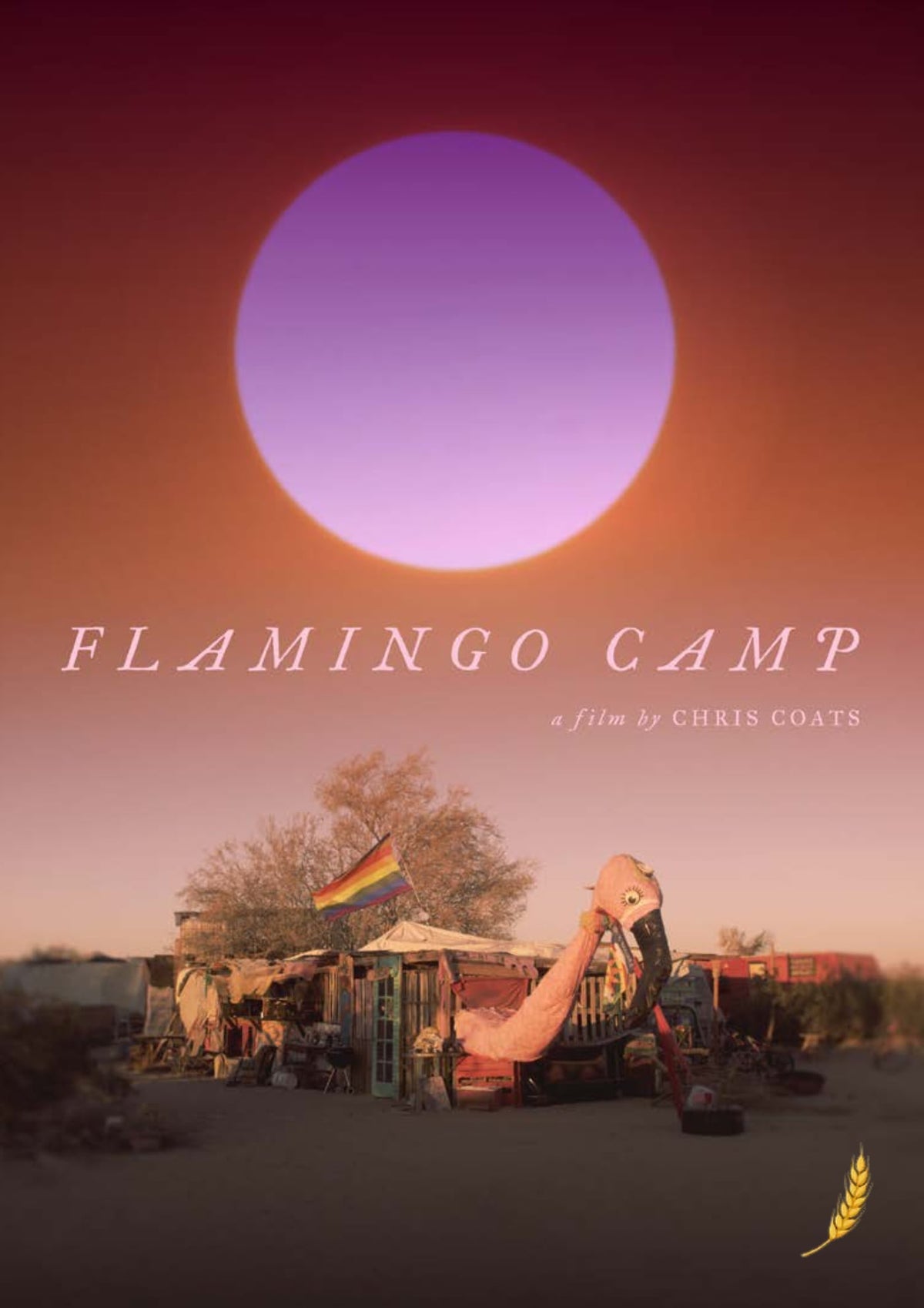 Flamingo Camp (DVD)