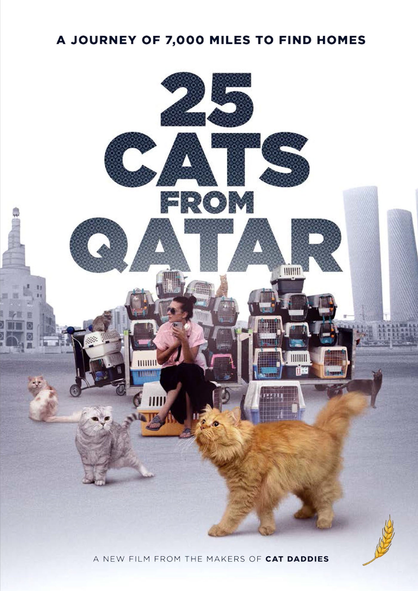 25 Cats From Qatar (DVD)