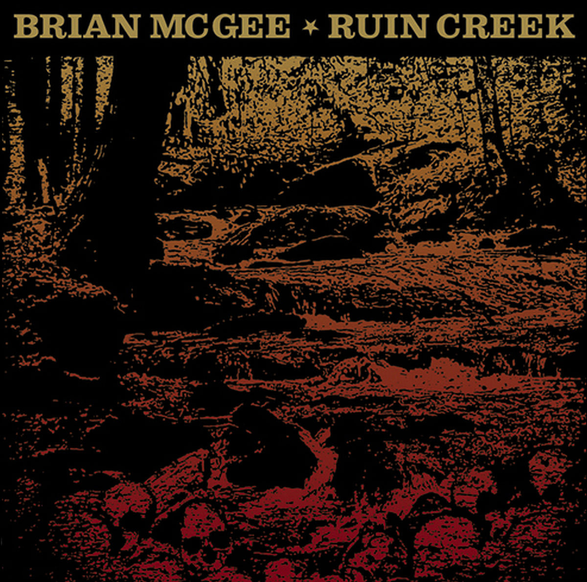 Brian McGee - Ruin Creek (CD)