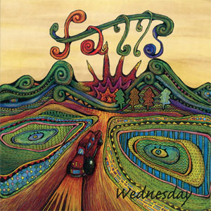 Falls - Wednesday (CD)