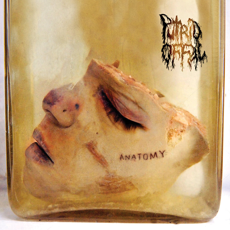 Putrid Offal - Anatomy (CD)