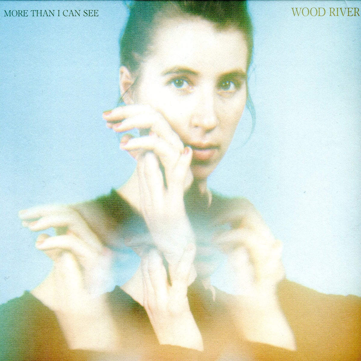 Wood River  Greve  Matsuno  Jermyn  Crane - More Than I Can See (CD)