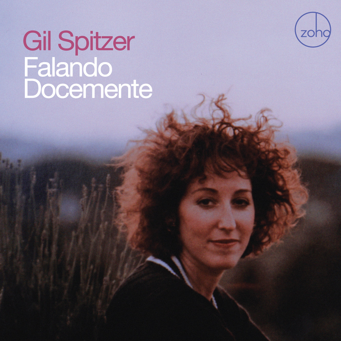 Gil Spitzer - Falando Docemente (CD)
