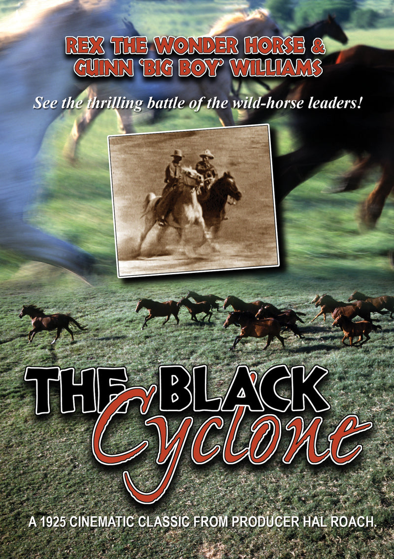 The Black Cyclone (DVD)