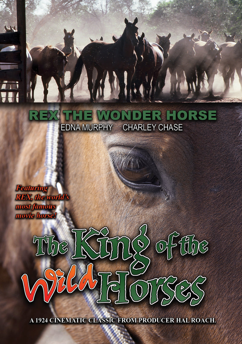 The King Of The Wild Horses (DVD)