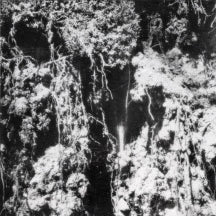 Den Sorte Død - Den Sorte Død (LP)