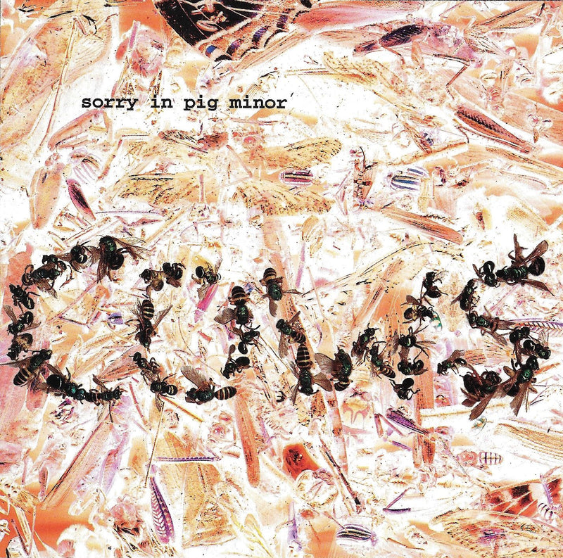 Cows - Sorry In Pig Minor (CD)