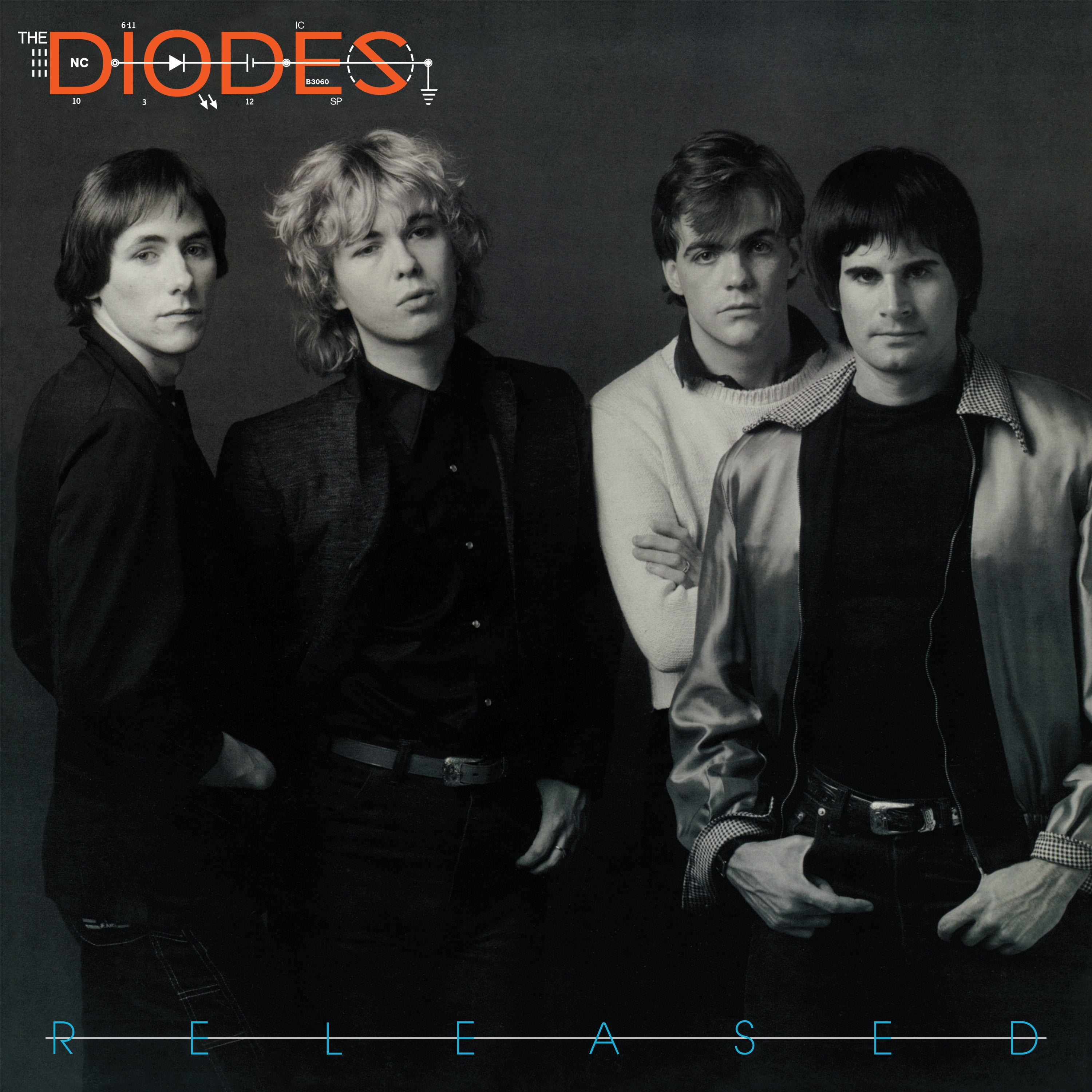 Diodes - Released (LP)