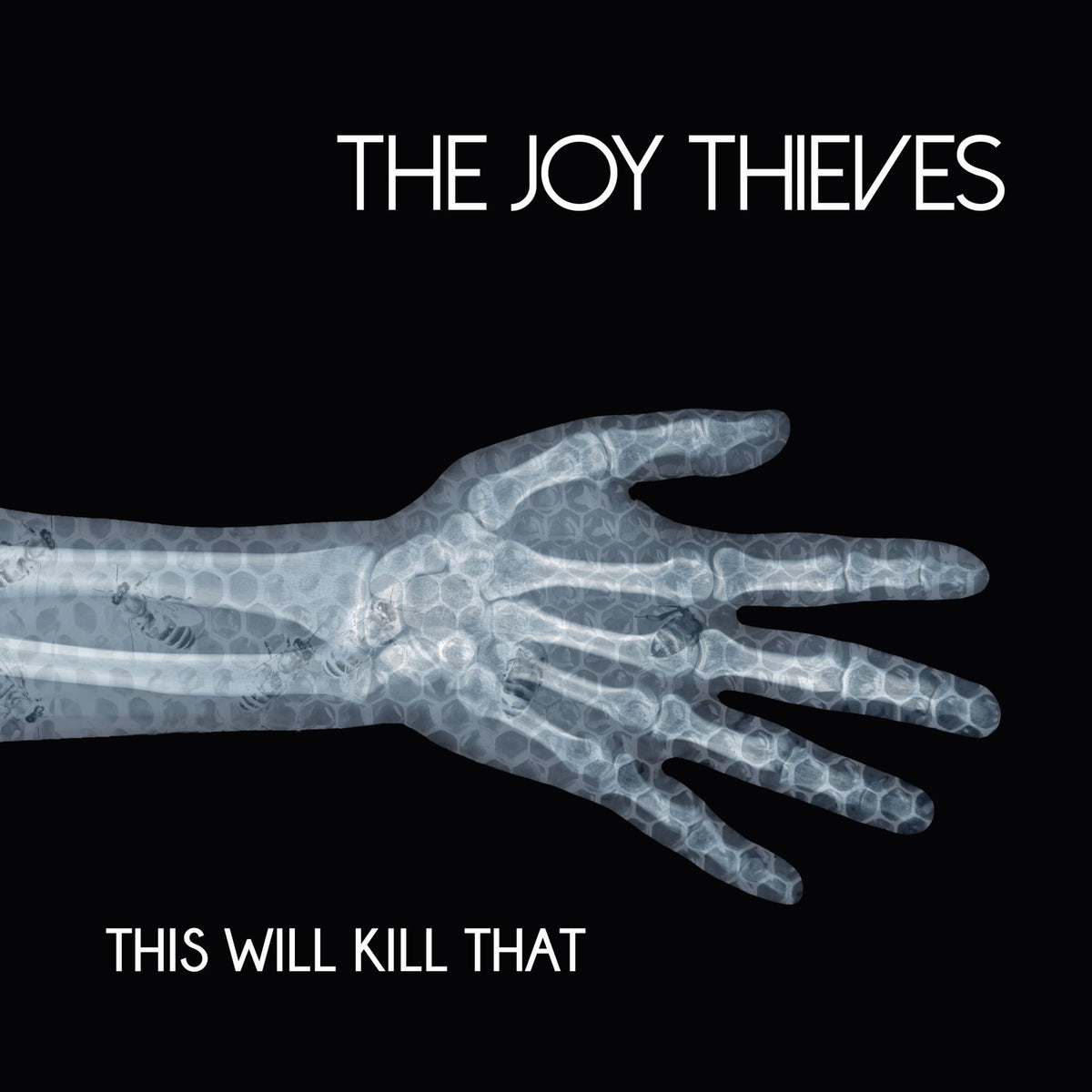 The Joy Thieves - This Will Kill That (CD)