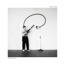 Sweet Baboo - The Wreckage (CD)