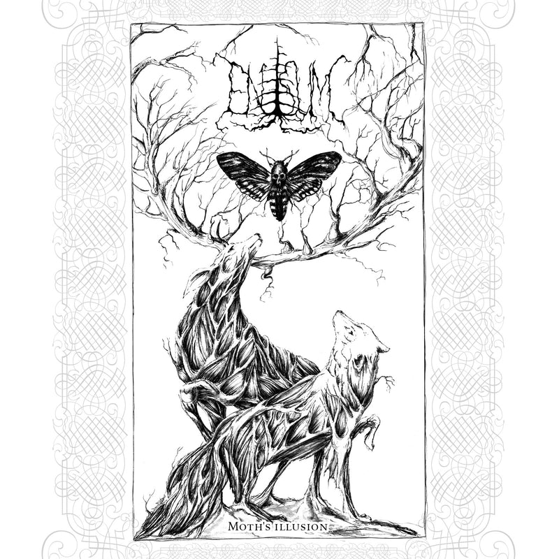 Enisum - Moth's Illusion (CD)