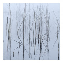 Olhava - Frozen Bloom (CD)