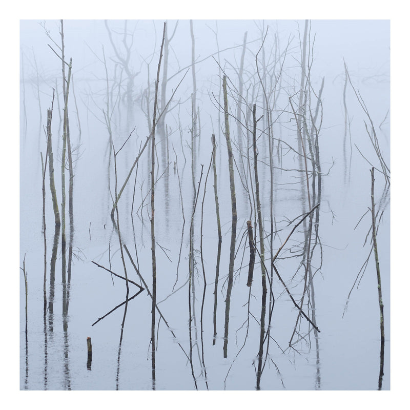 Olhava - Frozen Bloom (LP)