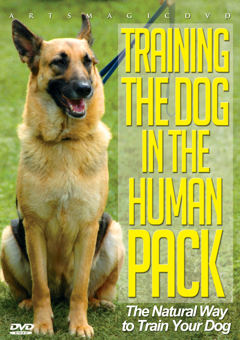 Training The Dog In The Humanpack (DVD)