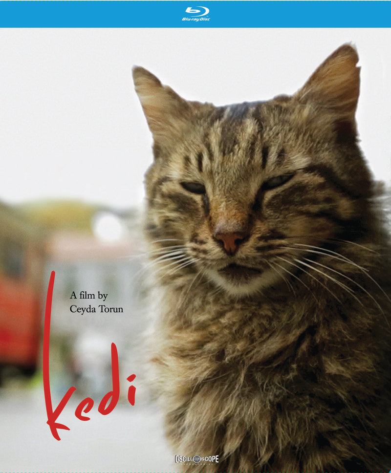 Kedi (Blu-ray)