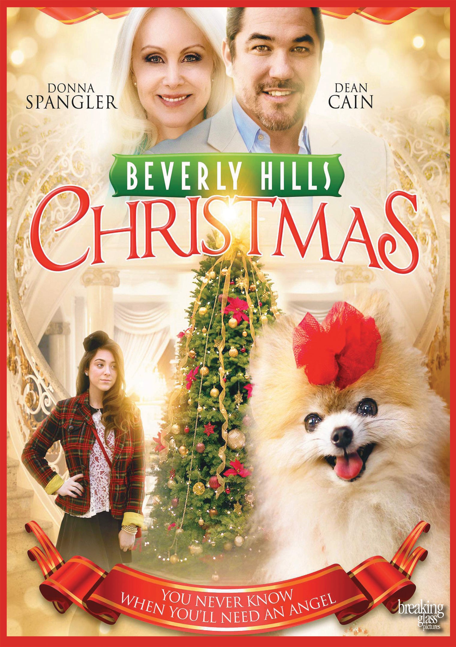 Beverly Hills Christmas (DVD)