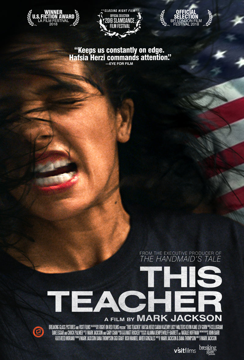 This Teacher (DVD)