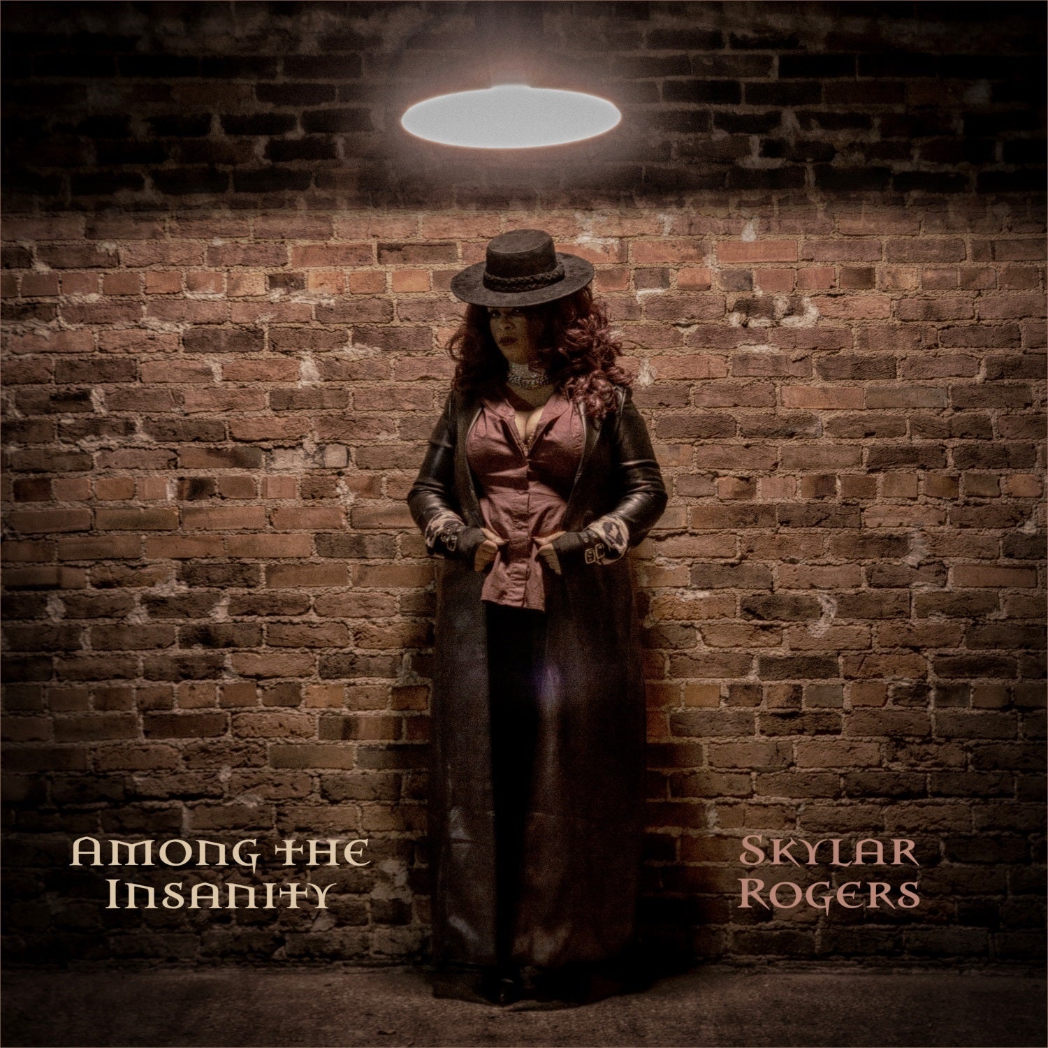 Skylar Rogers - Among The Insanity (CD)