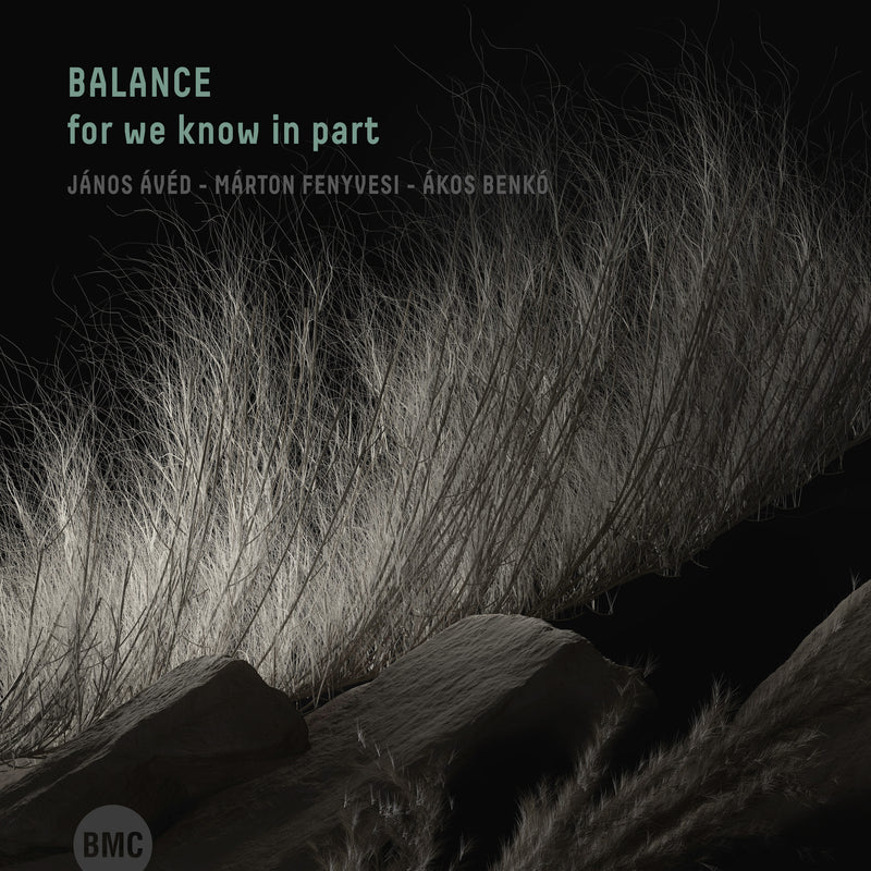 Balance - for we know in part (CD)
