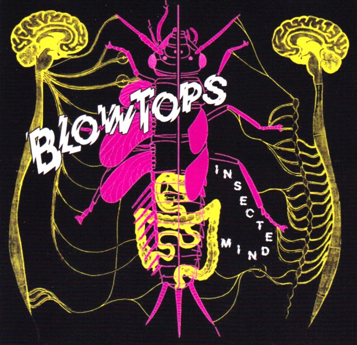Blowtops - Insected Mind (LP)