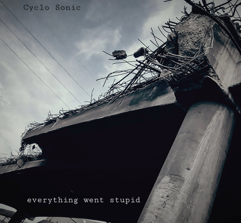 Cyclo-sonic - Everything Went Stupid (LP)