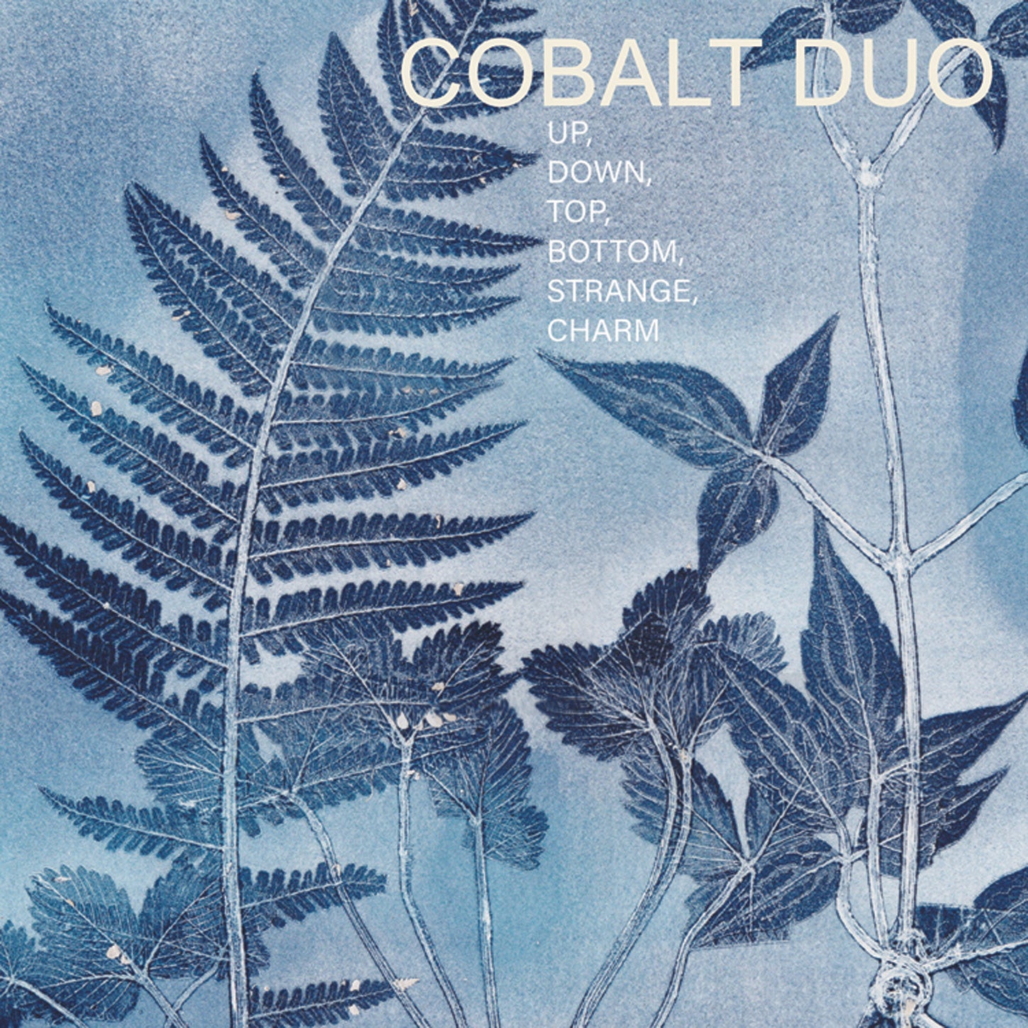 Kate Halsall & Fumiko Miyachi - Cobalt Duo: Up, Down, Top, Bottom, Strange, Charm (CD)
