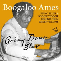 Ames Boogaloo - Going Down Slow (CD)