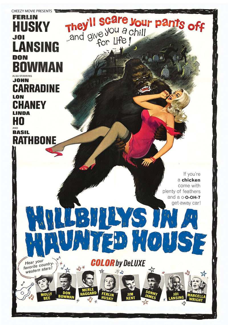 Hillbilly's In A Haunted House (DVD)