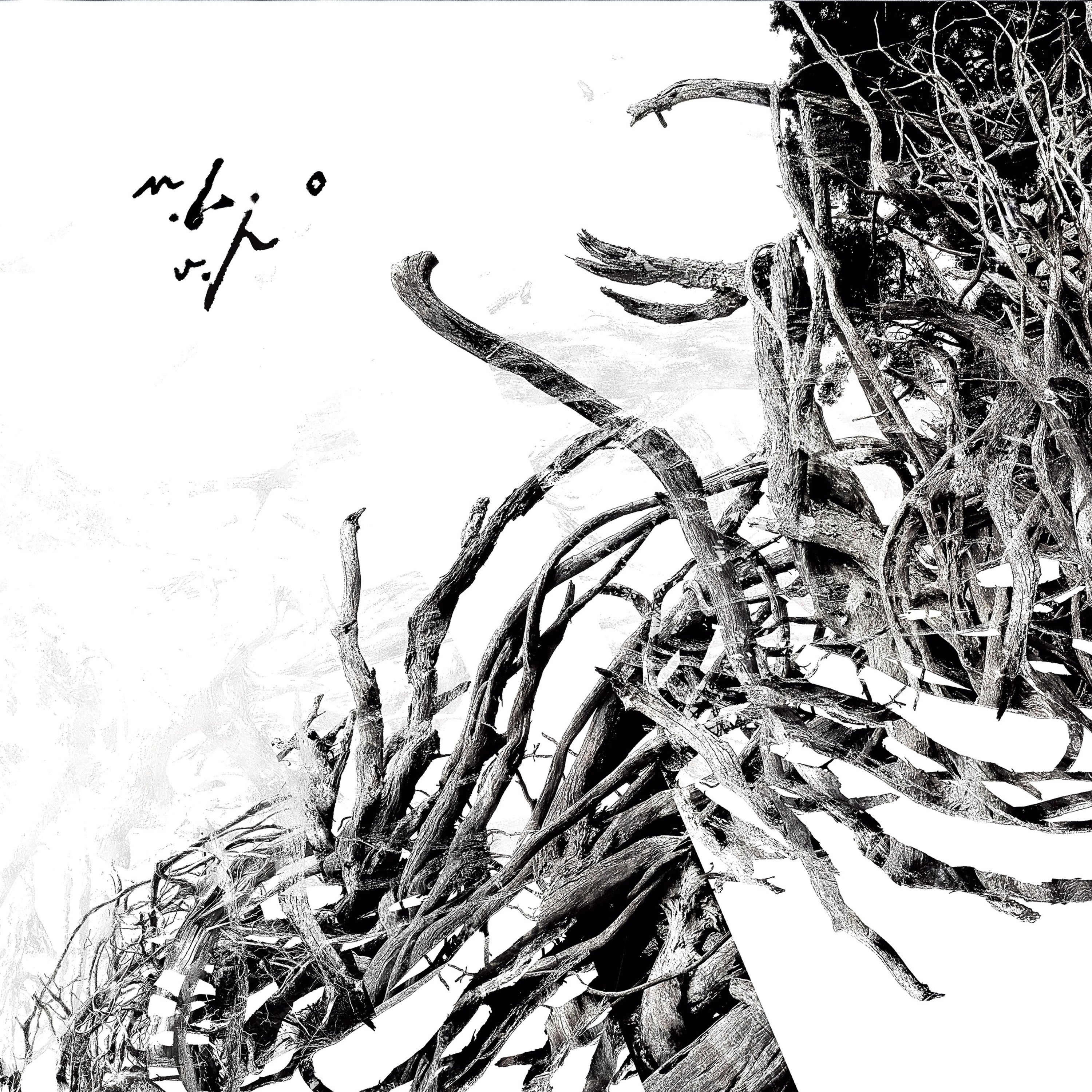 Negura Bunget - Virstele Pamintului (LP)