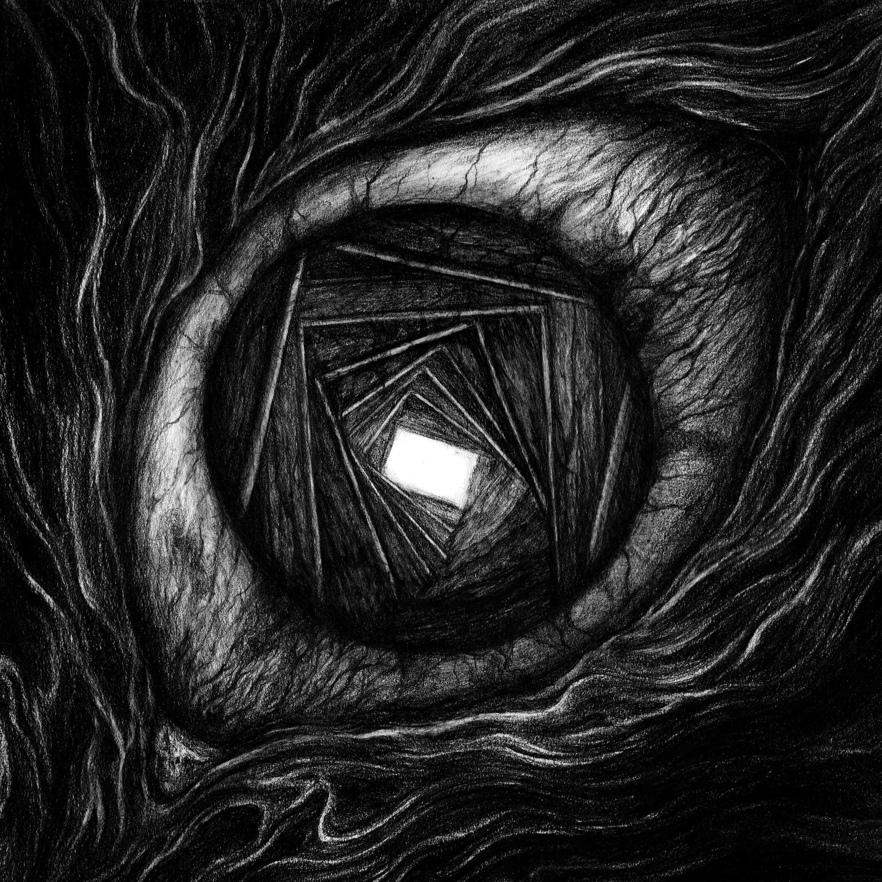 Carpe Noctem - Vitrun (LP)