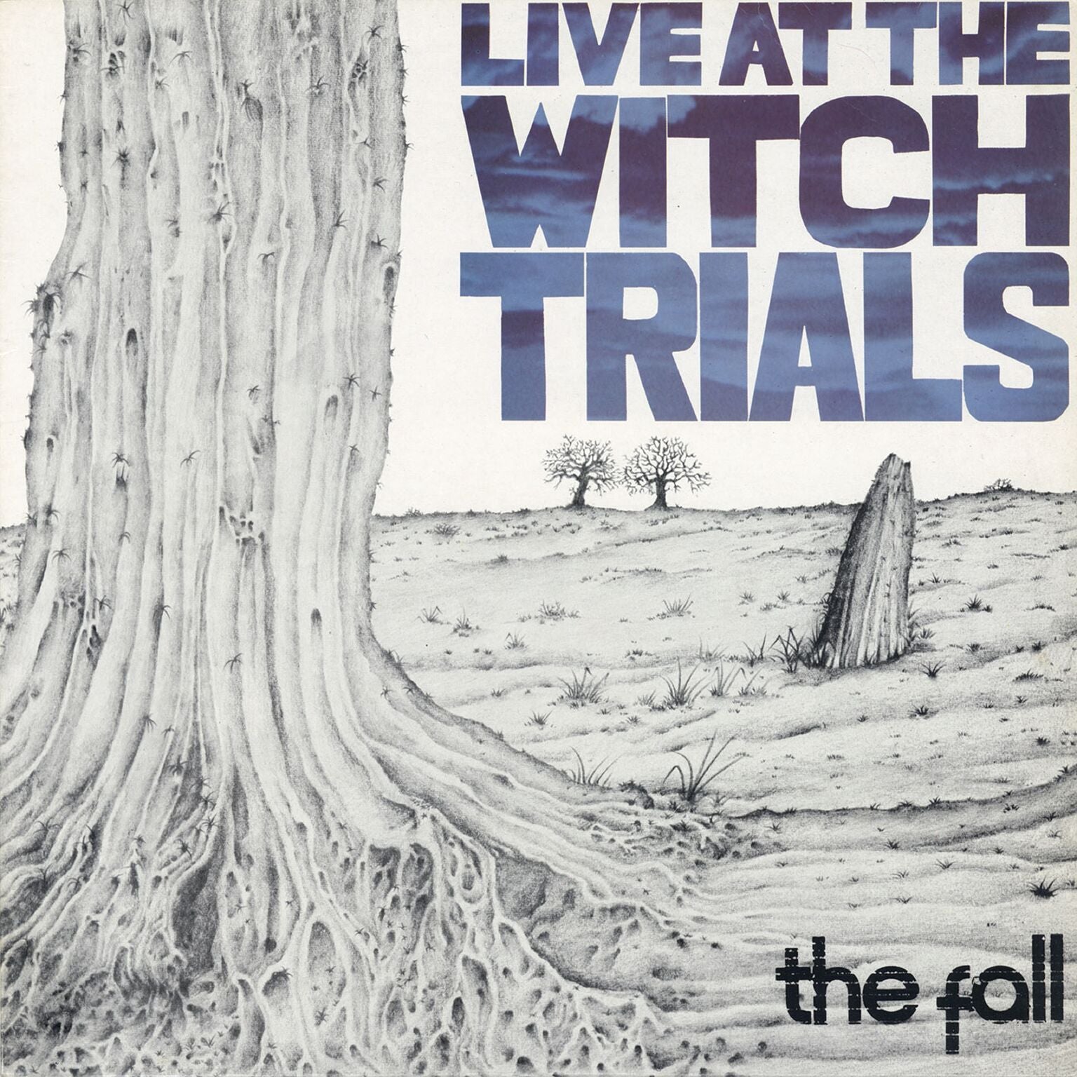 Fall - Live At the Witch Trials: 3CD Boxset (CD)