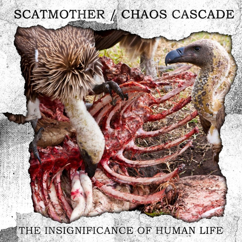 Scatmother & Chaos Cascade - The Insignificance Of Human Life (CD)