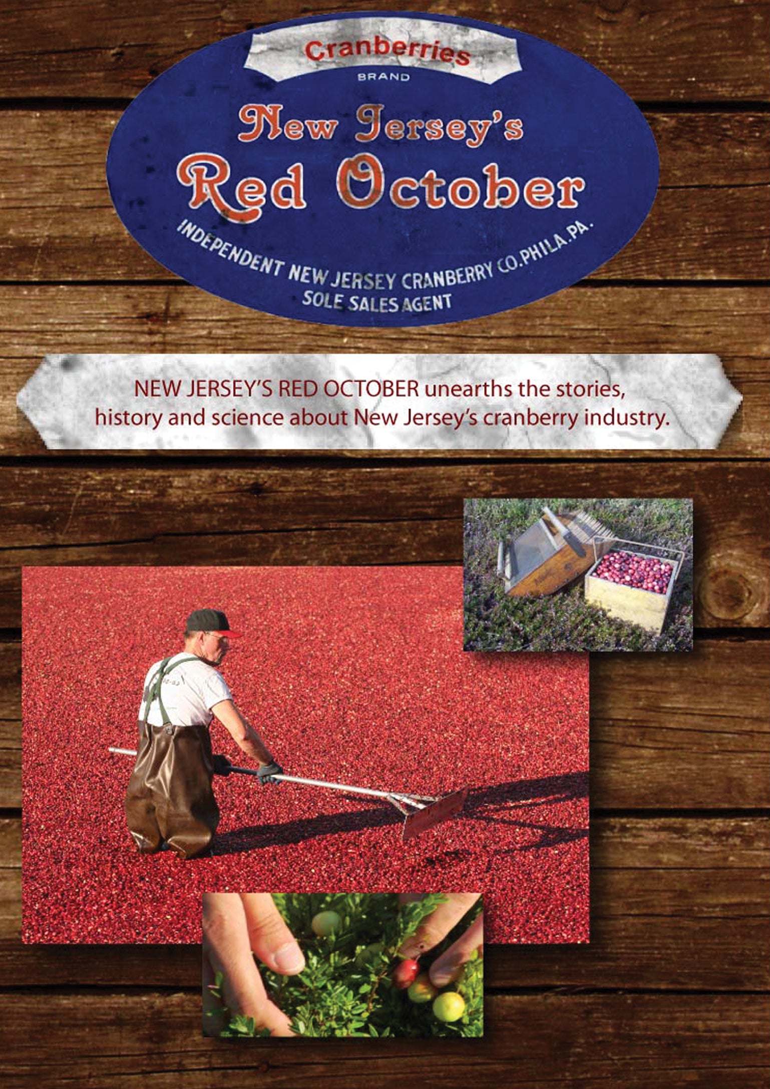 New Jersey's Red October (DVD)