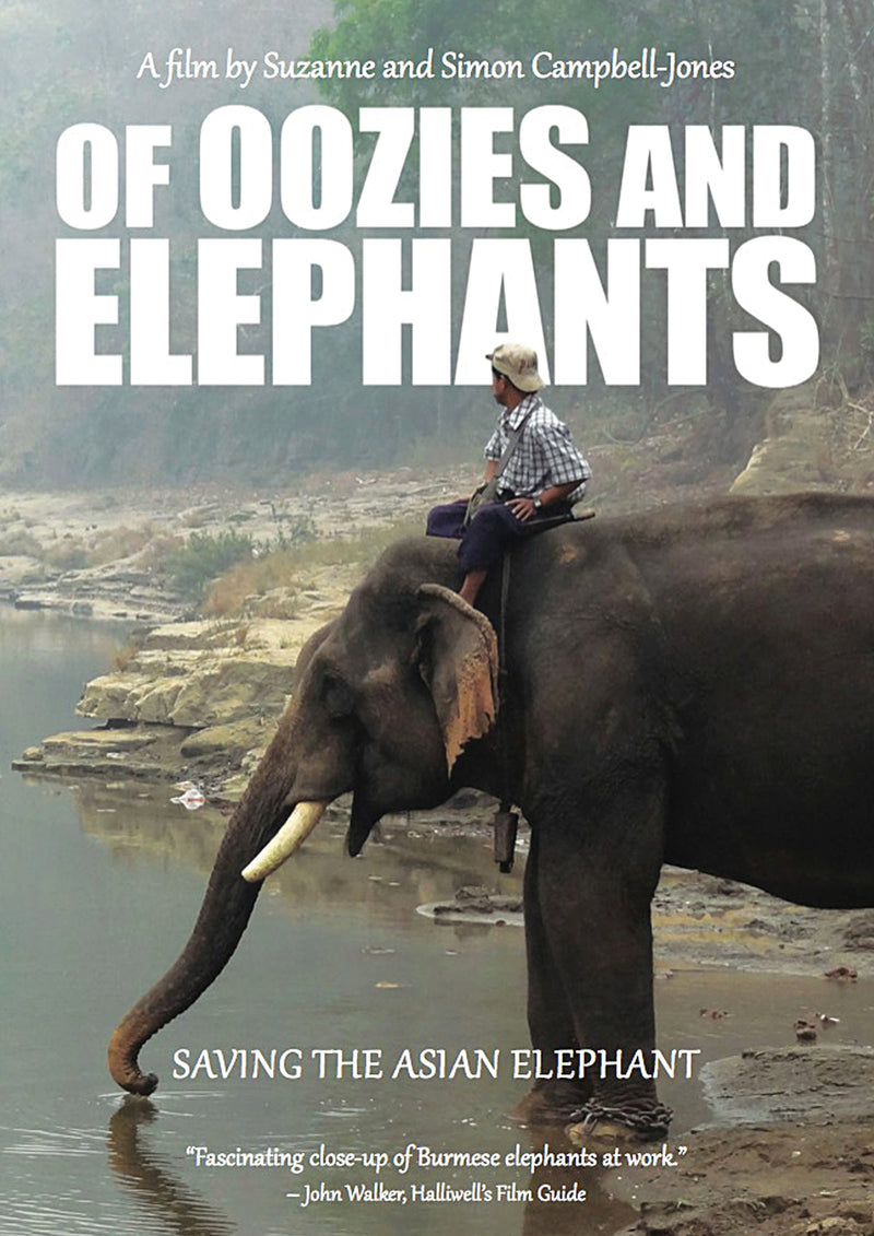 Of Oozies and Elephants (DVD)