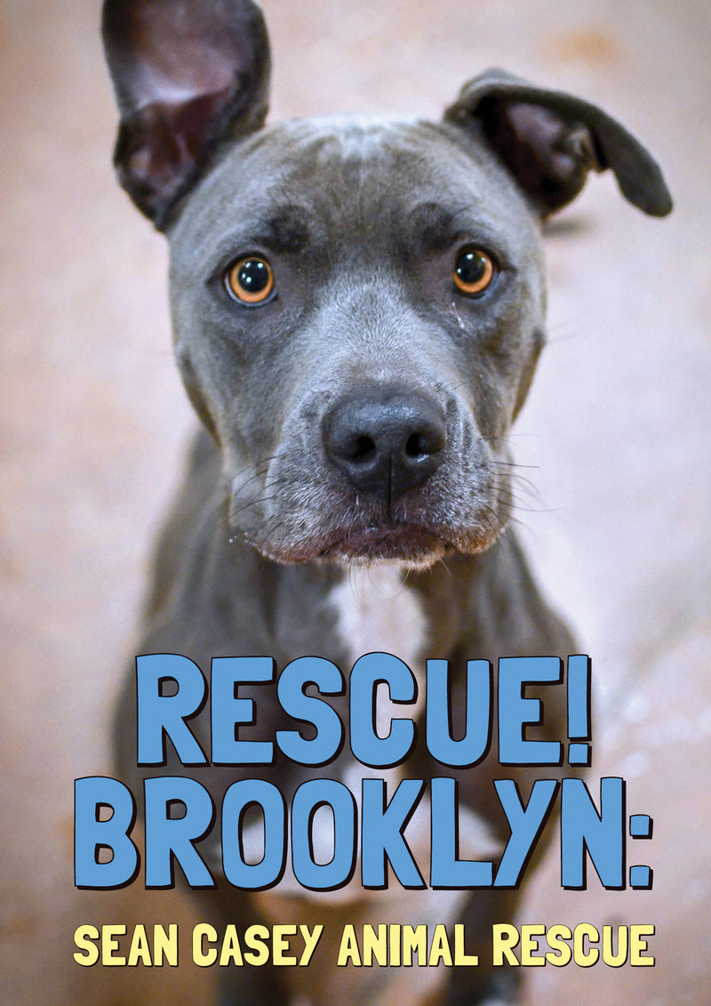 Rescue! Brooklyn (DVD)