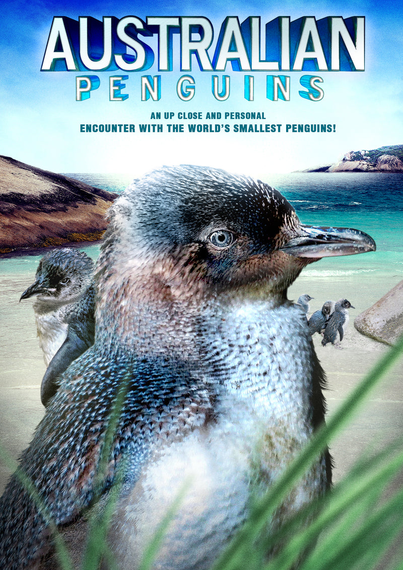 Australian Penguins (DVD)