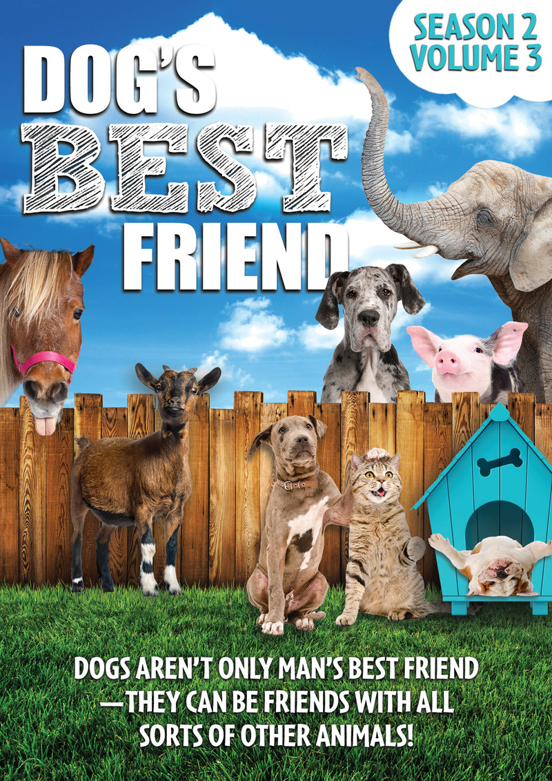 Dog's Best Friend: Season 2 Volume 3 (DVD)