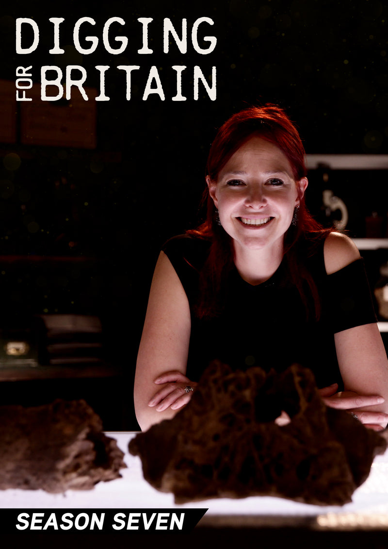 Digging For Britain: Season 7 (DVD)