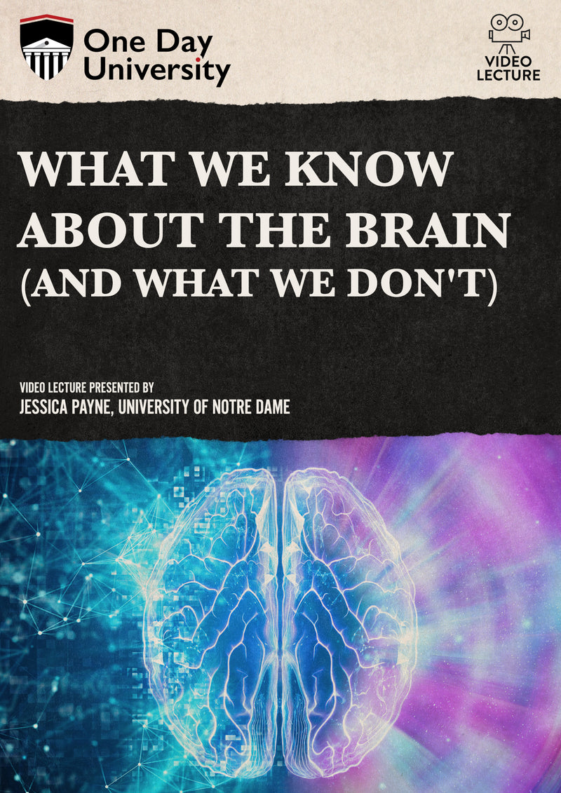 One Day University: What We Know About the Brain (and What We Don't) (DVD)