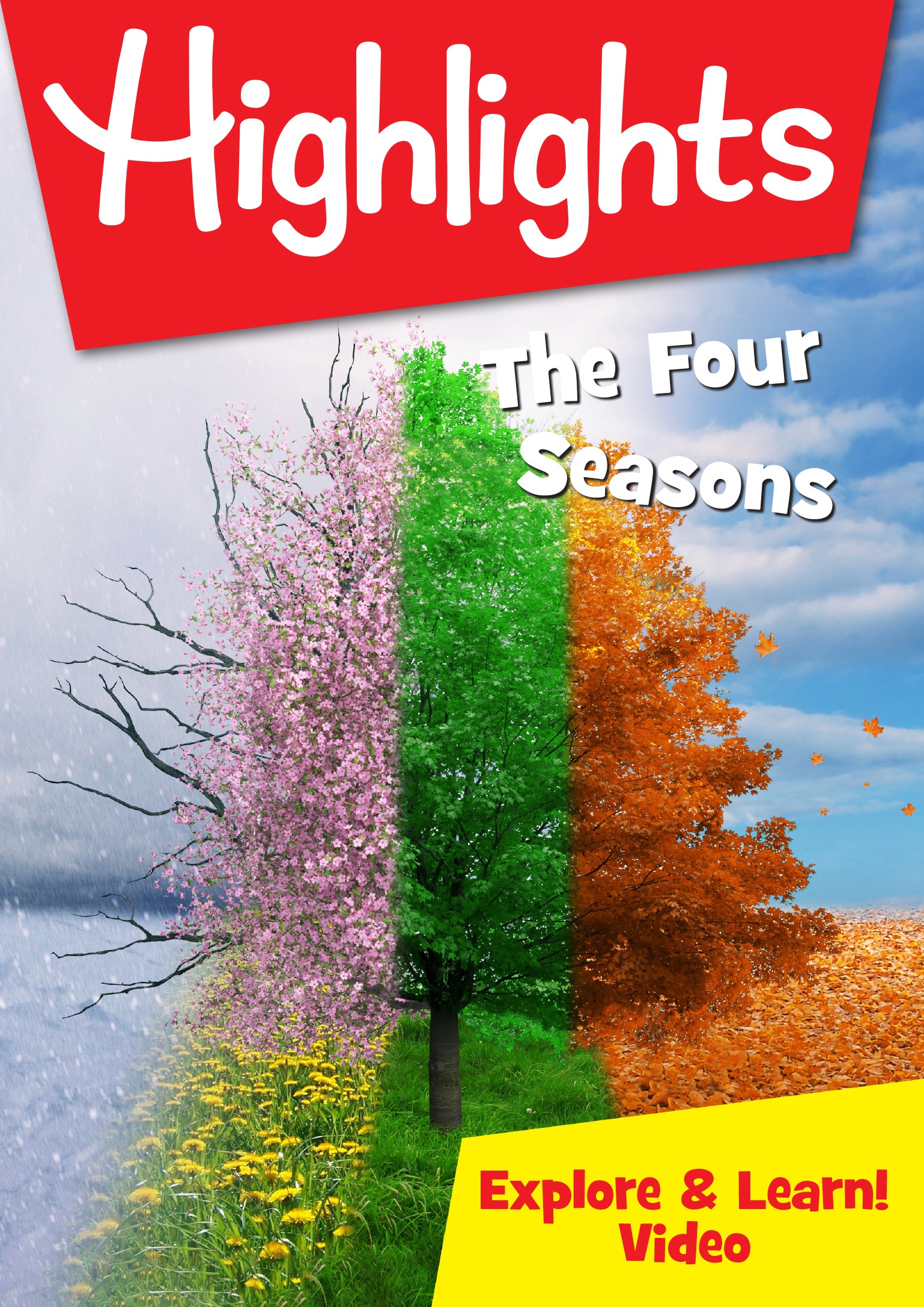 Highlights - The Four Seasons (DVD)